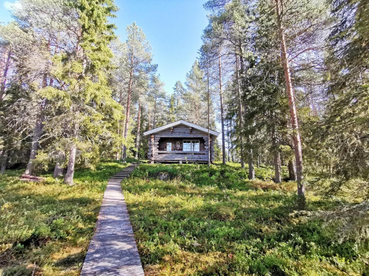 Taigaschool Eco Hotel Virrankyla Buitenkant foto